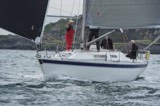 sorr of appin 5062c whyw24 mon 750 8251